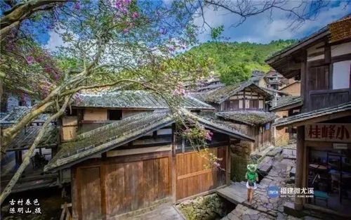 情感冲击波——从心底蹦出的感慨