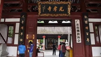 为哪些要这么乱？这是因为我也乱！
