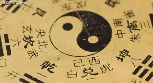 请问玉婵当前这个名字的八字命明白析和含义解读是怎样的？