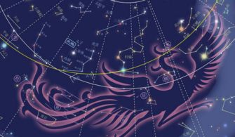 心宿二十八星宿中的心月狐属于哪个星座呢？