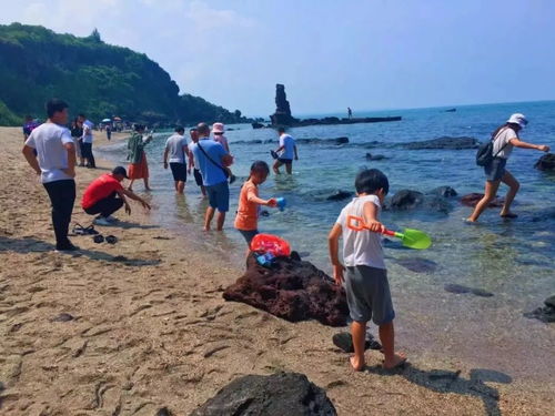 海南岛赶海去哪里玩最有意思？