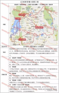 四、 实用小贴士——不靠谱但可能有用