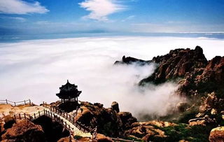 东线旅游的“坑爹”真相大揭秘！