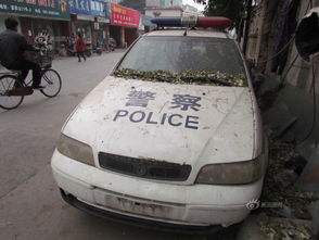 博物院停车？想得美！