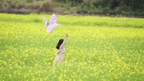 东方鸟世界的鸟语花香（还有点臭臭的…）