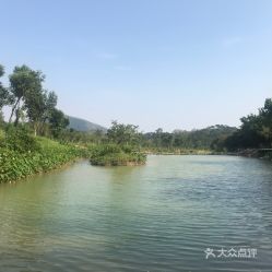 双合镇の魔幻现实主义