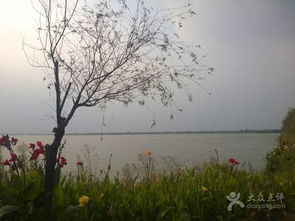 “偏僻”是原罪？不是漕湖的护身符