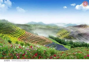 永泰古镇：历史文化的沉淀