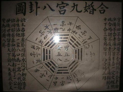 八字冲克就是个笑话！