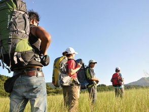 疯狂的市场：销量蹭蹭涨，质量啪啪掉