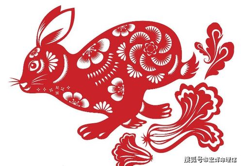 十二生肖兔的财运方向具体指的是什么？