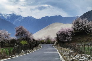 波密林芝：不只是风景，  是灵魂战场