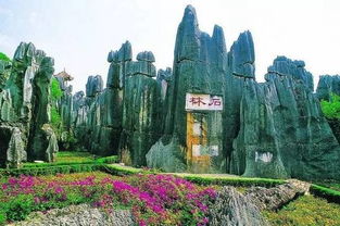 花花世界：石林的刚柔并济