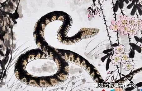 2001蛇的风水,2001蛇的风水