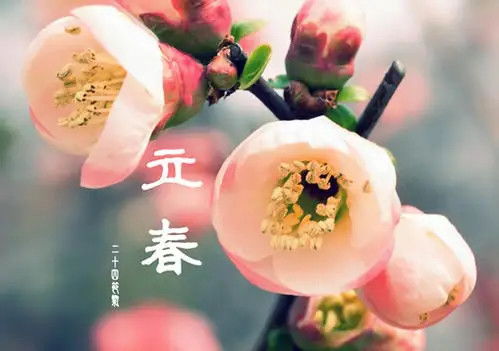 躲春需要更多较长时间段？