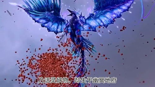第四章：困惑与顿悟