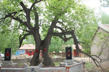 二、 叙事碎片：从搬迁到现代化旅行