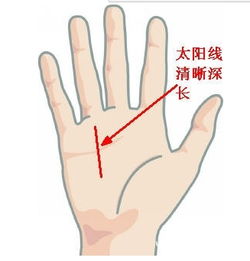 C 型——缓慢工出细活，或许今后会惊艳众人！