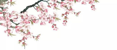 1. 红线牵姻缘