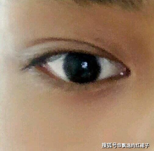 第一章：柳叶眉——柔软与坚韧并存