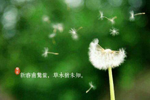 今年惊蛰节气有什么忒别的寓意和深层含义呢？