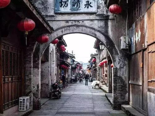 一、 先说天湖村——生态村的“绿毛怪”