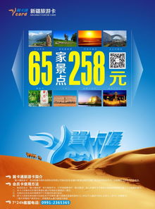 一、 神秘的“翼卡通”：省钱还是烧钱？