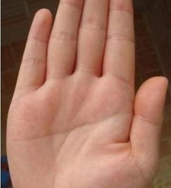 看手相能看出惊奇天赋异禀，命运真的能由我不由天吗？