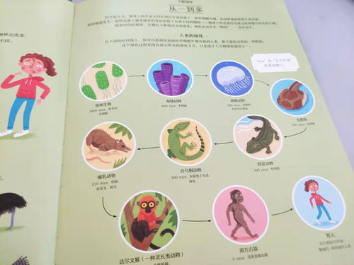 奥秘的蜜是什么命，奥秘的秘又是什么含义？