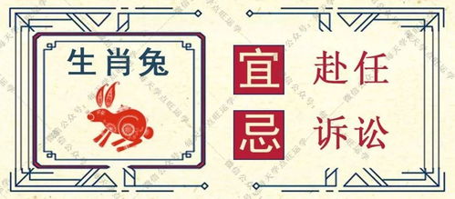 整体运势概览