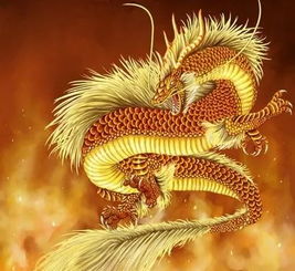 生肖冲动：鼠与龙的暗流