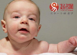 平地木命缺什么？它的别名叫什么？
