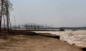 交通指南？不存在的！