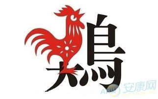 二、生肖属鸡：金鸡报晓的象征意义