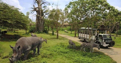 神秘动物行为大赏