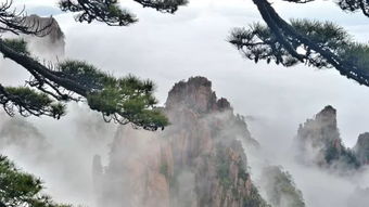 孩子的黄山之旅