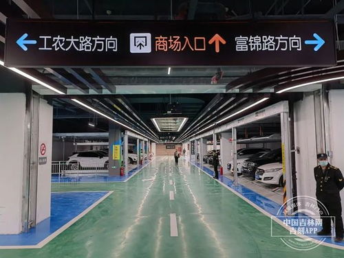 惯与停车：一个世纪的等待