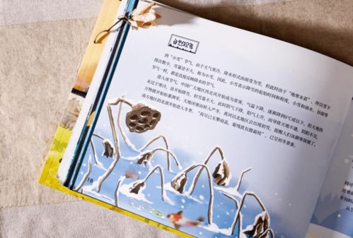 千年农事智慧，二十四节气习俗传承秘籍