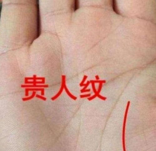 3. “智慧线”短到离谱？那是天才的表现！（真的吗？）