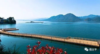 太平湖：藏在“两山一湖”战略里的湖畔生存试试