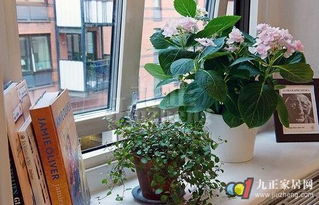 衰位的影响：小心霉运缠身