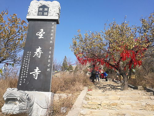 第一步：用双腿丈量这座山