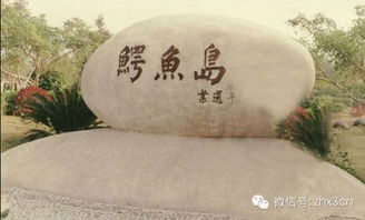 惊！珠海这个破地方藏着让娃疯掉的秘密