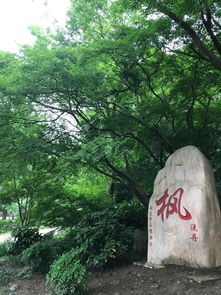 玄武湖畔的那些事儿…（哎呀妈呀！）