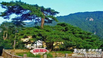 震惊！小九华门票骨折价背后竟隐藏惊天秘密