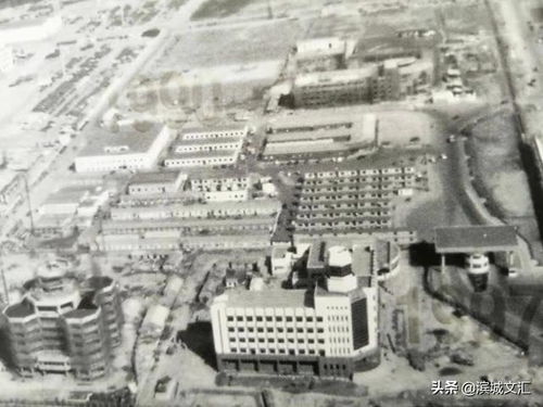 一、  岁数的沉重迷宫：虚岁与周岁的“炎热爱情仇”