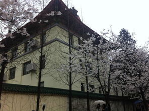 在路上，或着是在某个不知名的空间里