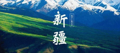 三、 第二天的探险之旅