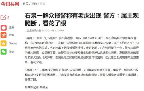 个人感受与主观臆断