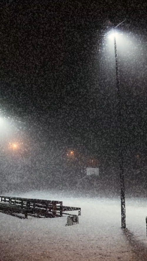 那东西不属于我的玩具